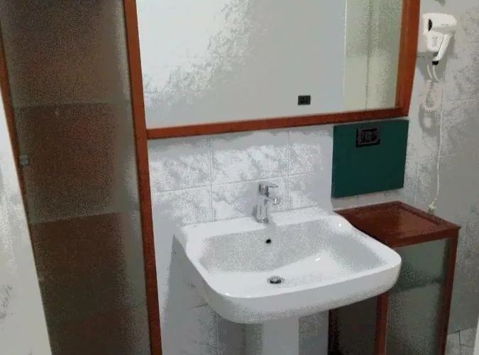 Il Tulipano